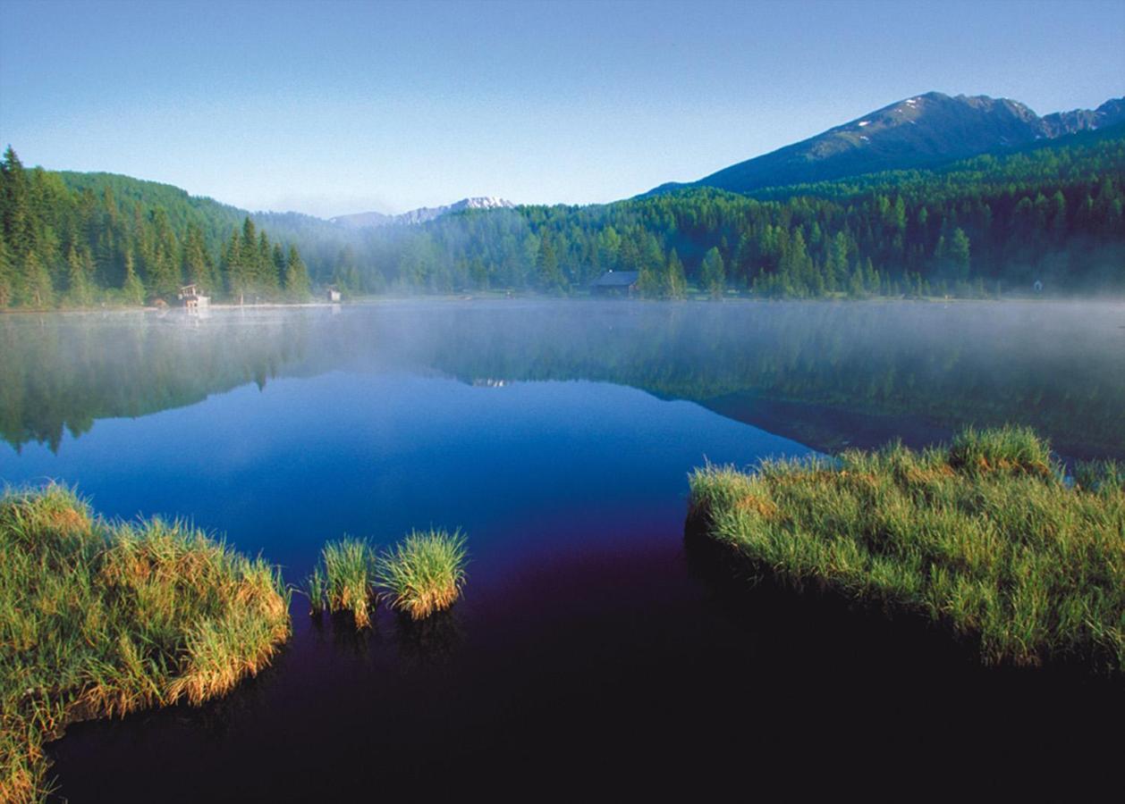 Pension Hochleitner Am Schlosspark Тамсвег Экстерьер фото